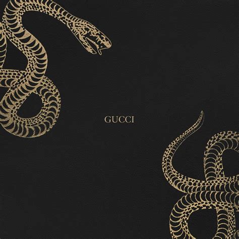 gucci snakes by tyga|tyga gucci snakes.